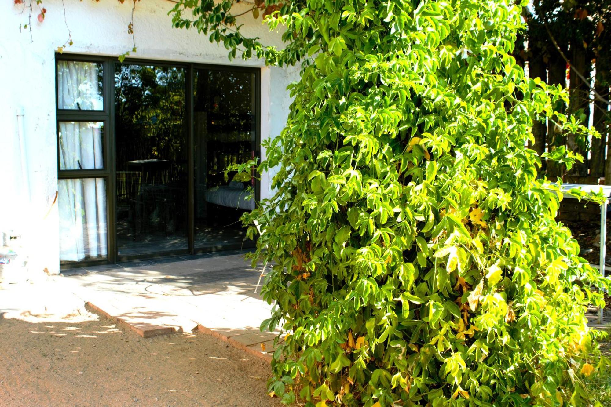 Ditsem Guest Farm Апингтон Экстерьер фото